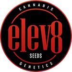 elev8-seeds