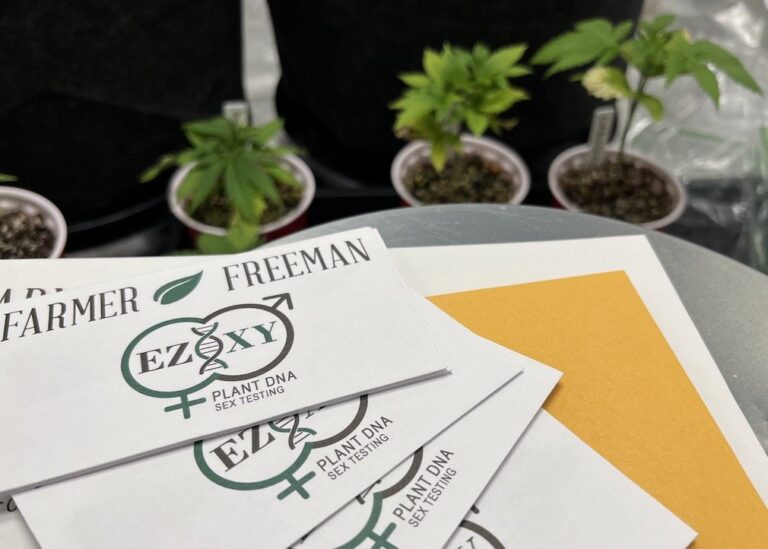 Illinois News Joint - EZ-XY test kits with cannabis seedlings