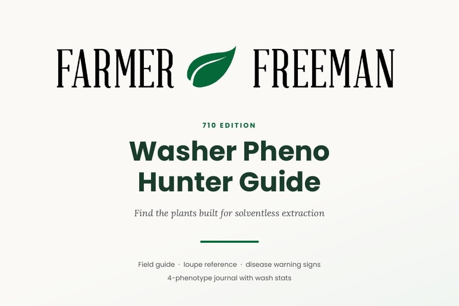 Washer Pheno Hunter Guide